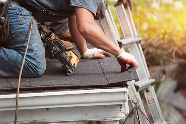 Best Roof Gutter Cleaning  in Dundee, NY