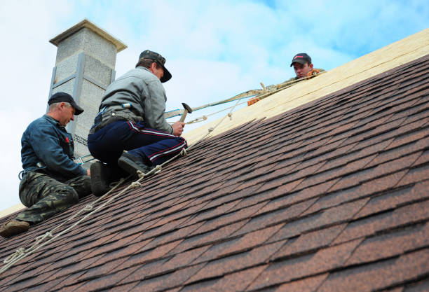 Best Residential Roofing Contractor  in Dundee, NY